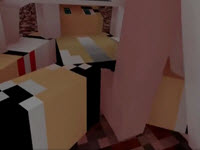 سكس ونيك في لعبه ماينكرافت
